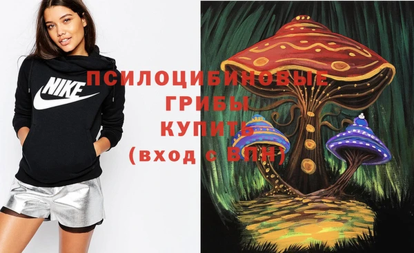 метадон Аркадак