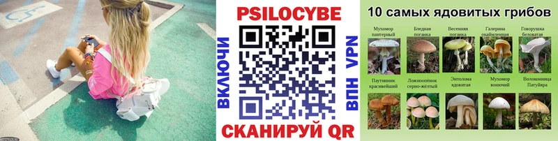 Псилоцибиновые грибы Psilocybe  Калязин 